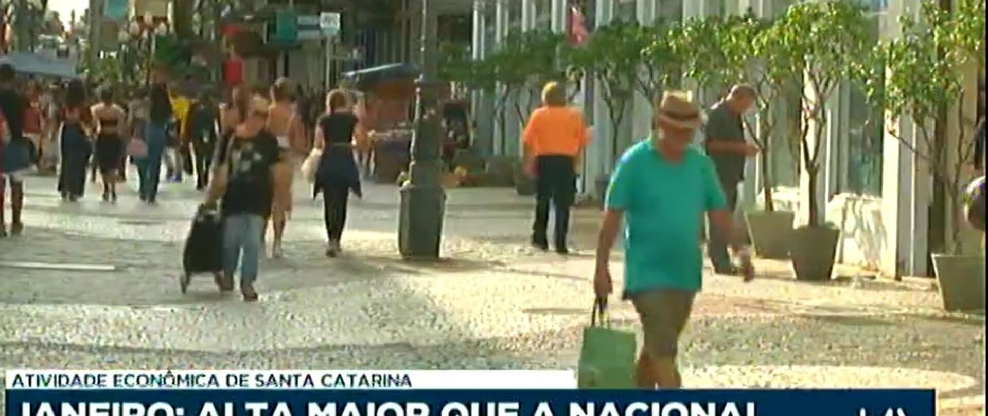 Atividade econômica de SC cresceu acima da média nacional