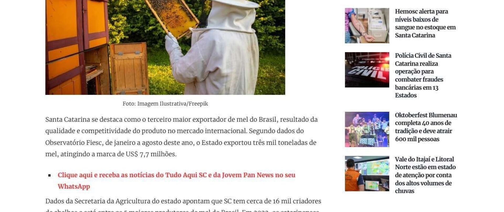 SC é terceiro maior exportador de mel do país com 3 mil toneladas