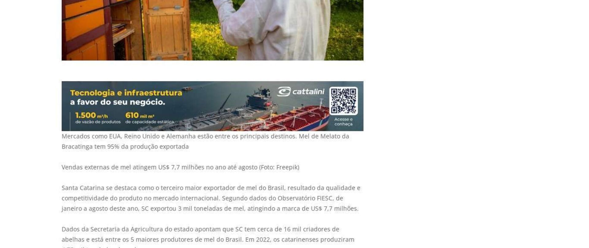 SC é terceiro maior exportador de mel do país 