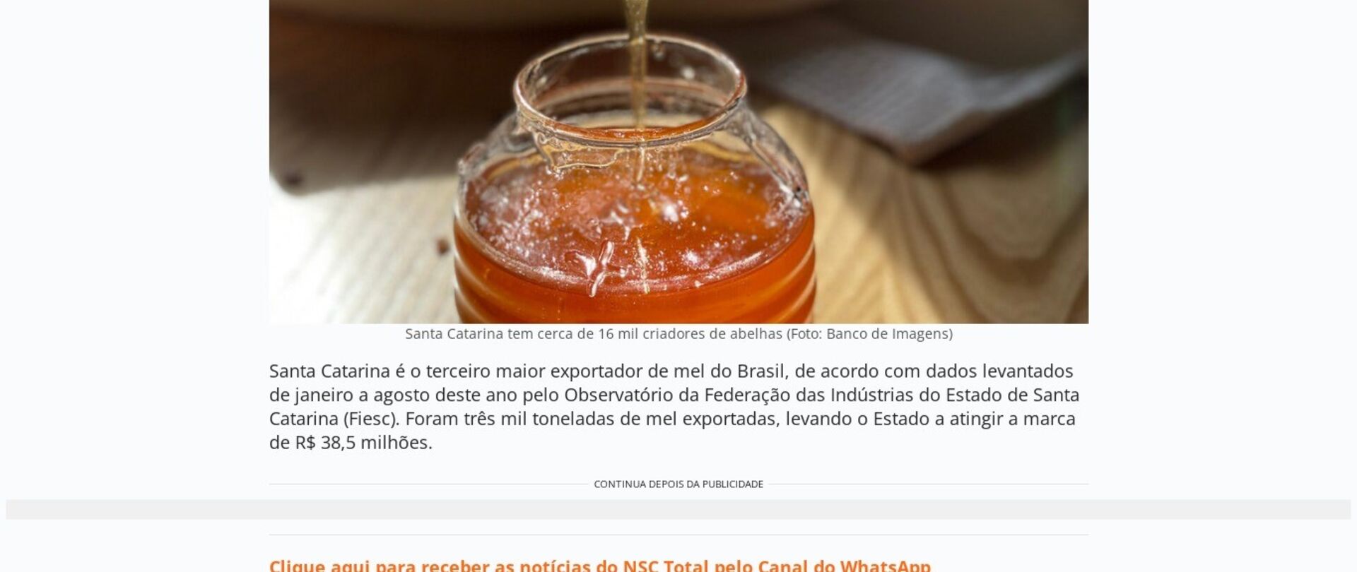 SC é o 3º maior exportador de mel do Brasil e está entre os cinco maiores produtores do país 
