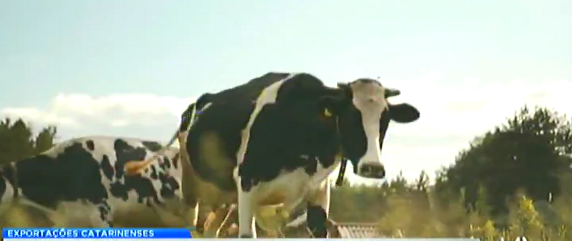 1º Trimestre: Venda para o exterior cresceu 7,8%