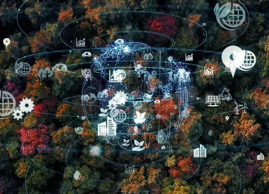 imagem-floresta-e-baloes-de-tecnologia